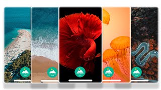 Personalize your phone with a Wallpaper HD Backgrounds screenshot 4