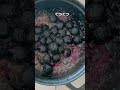 皮もまるごとぶどうジャム　#shorts
