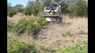 Brushshark tree shear in action clearing cedar in the Texas Hill Country