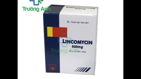 Lincomycin 600mg công ty cp dược vtyt thanh hóa năm 2024