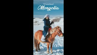 Winterland Mongolia | 겨울 몽골 갬성 영상 Full Version 60sec