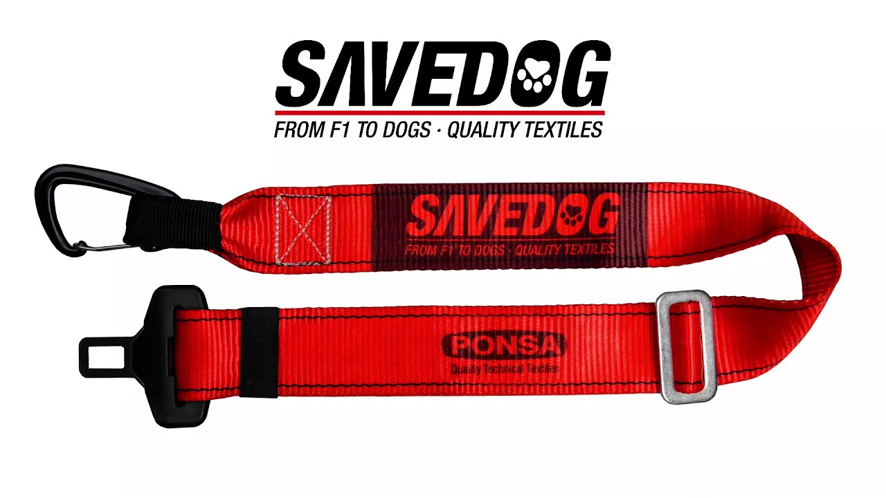 Cinturones y Arneses de Perros: 2023