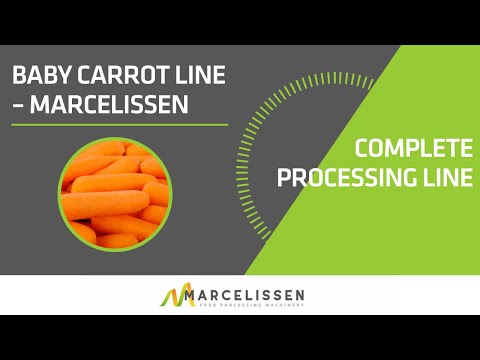 Baby Carrot Line – Marcelissen