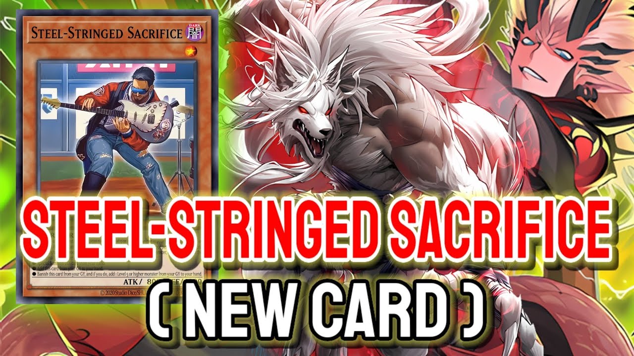 New TCG Monster Level 1 ‼️ YGOPRO SteelStringed Sacrifice K9