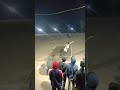 night 🏆plastic boll 🏆cricket tournament Abhi Bhai star ✨ Ka op ✨shot, ✨ #cricket##viral shorts#shots