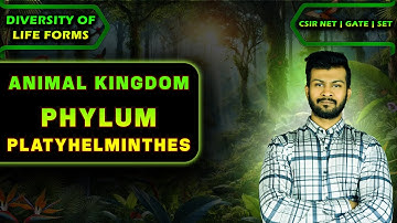 Diversity Of Life Forms CSIR NET | Animal Kingdom CSIR NET | Phylum Platyhelminthes