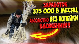 375 000 рублей за машину камыша в месяц без копейки вложений ч 25