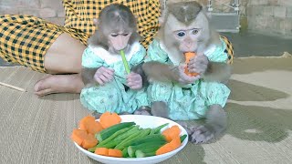 [Moon Family] Monkey Moon and Sky eat vegetables and boiled carrots to get more Vitamins