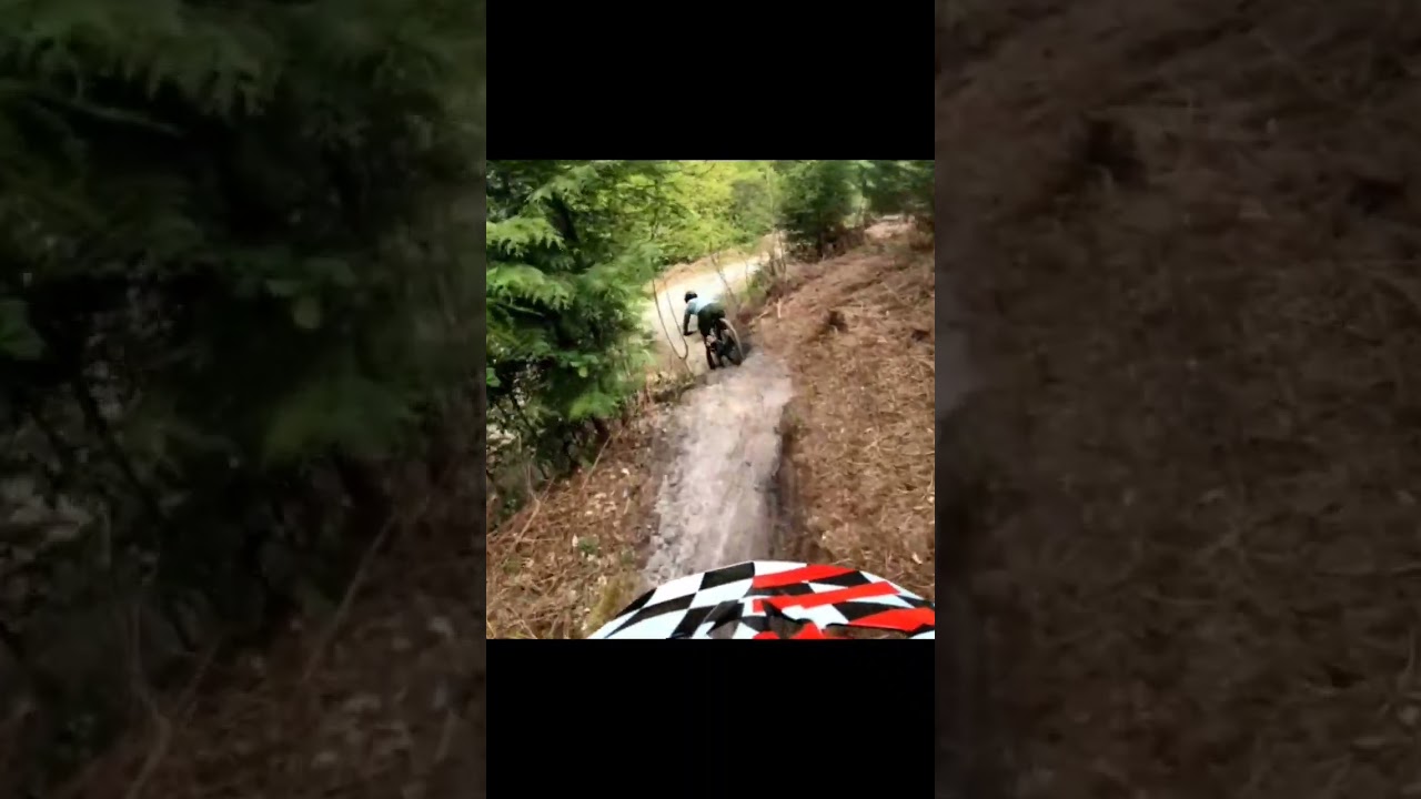 Rogate DMR line 🤙