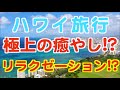 【ハワイ旅行・ハワイでリラクゼーション】ハワイ最前線! 時を忘れるハワイ 自宅でハワイ気分 ハワイ好き ハワイロス ワイキキ観光 ハワイの景色 ハワイ観光 ハワイアン | Hawaii