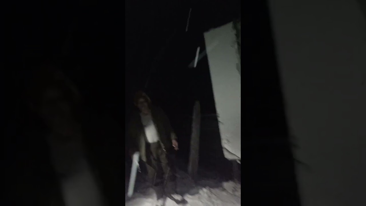 Поездка в Республику Алтай за жеребятами и их покупка.