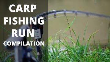 Carp Fishing RUN COMPILATION 7