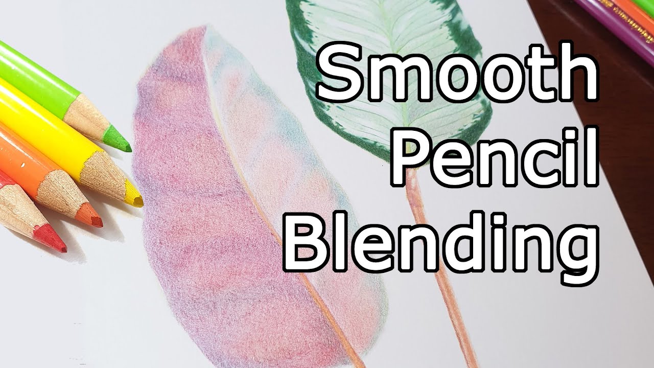 DRAWING LEAVES. How to blend coloured pencil for a smooth result, layering and blending Polychromos.