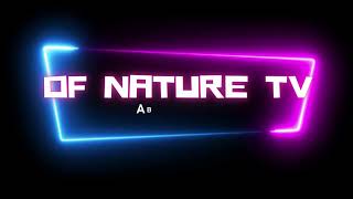 Animal World 50 || OF NATURE TV||