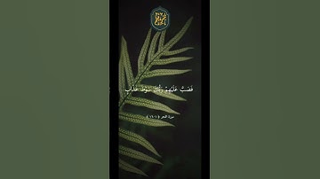 ❤️ تلاوة تشرح الصدر بصوت الشيخ ياسر الدوسري ارح سمعك #قران #49