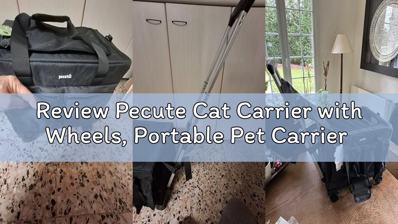 Review Pecute Cat Carrier with Wheels, Portable Pet Carrier on Wheels with Stable Structure, Breatha