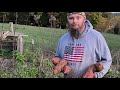 Sweet Potato Harvest [] How’d we do?