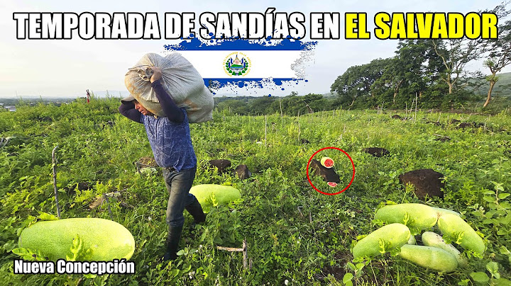 CORTANDO sandías a buena mañana😮 Temporada de SANDÍAS en El Salvador 😋