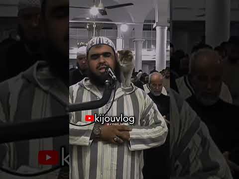 قط يقبل إمام أثناء صلاة تراويح