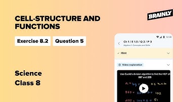 Chapter 8 Cell-Structure and Functions | Class 8 Science | Exercise 8.2 | Question 5
