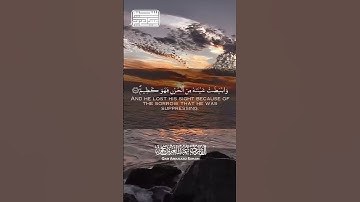 التلاوة الأكثر استماعا  للقارئ عبد العزيز سحيم #سورة_يوسف #اكسبلور #اكسبلور