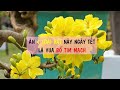 Cảnh Báo: 3 Vật Tuyệt Đối Không Nên Đặt Trong Phòng Ngủ Kẻo Hại Sức Khỏe