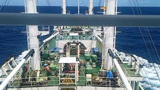 Life of Reefer Ship| Day Work