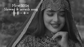 New Pashto 2024 Song slowed & Reverb | MS MUSICX