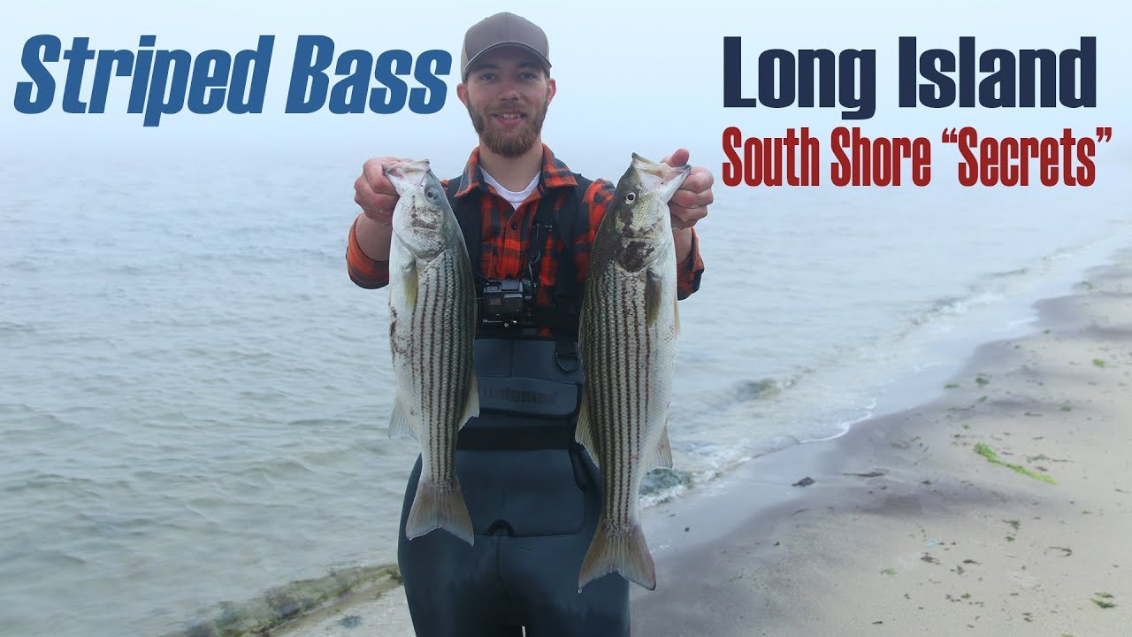 Foggy Morning Catching Striped Bass Long Island South Shore June 2019