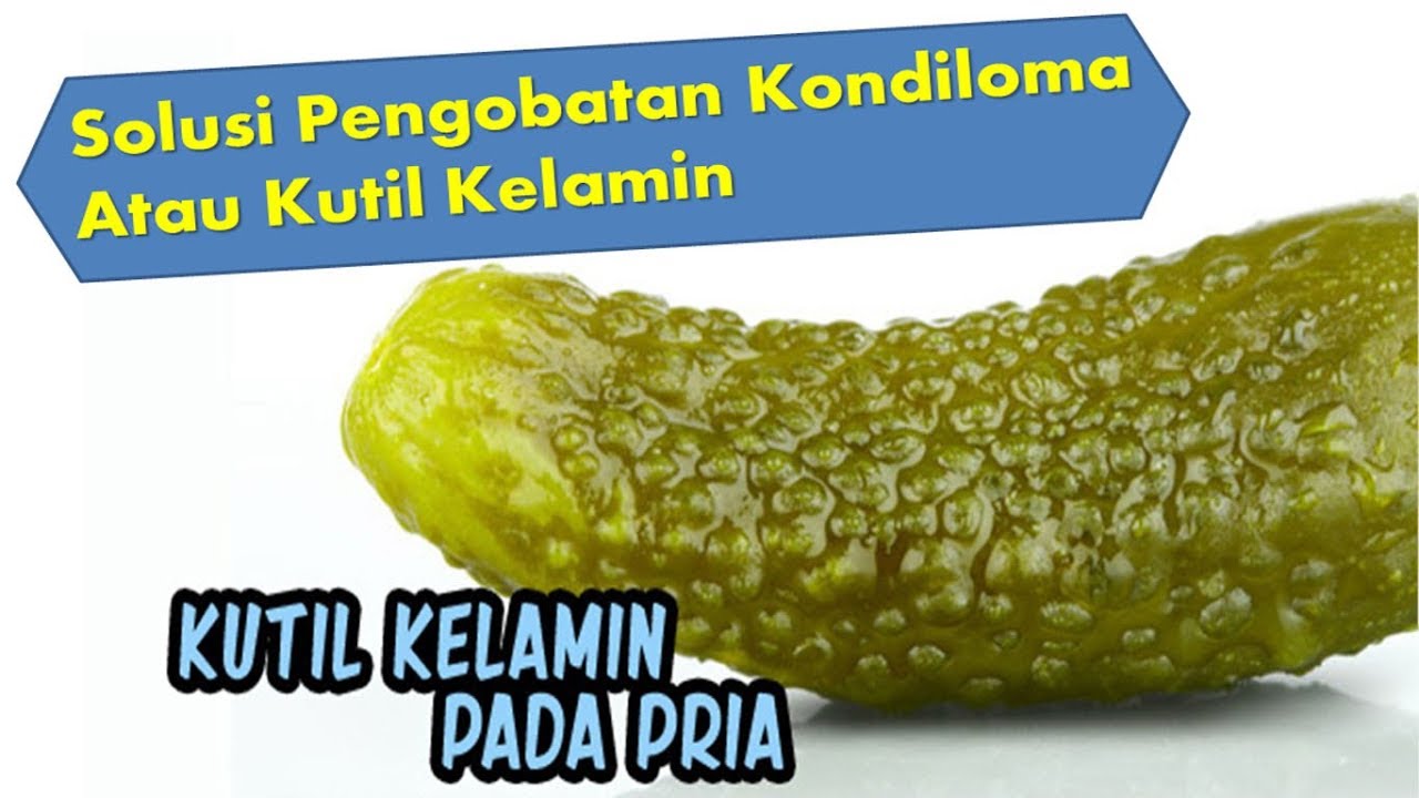 Pin On Obat Herbal Manjur
