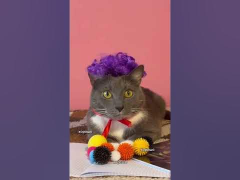 КОТИКИ В ШКОЛЕ - ШАРИКИ - YouTube