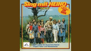 Schwarzbraun ist die Haselnuss