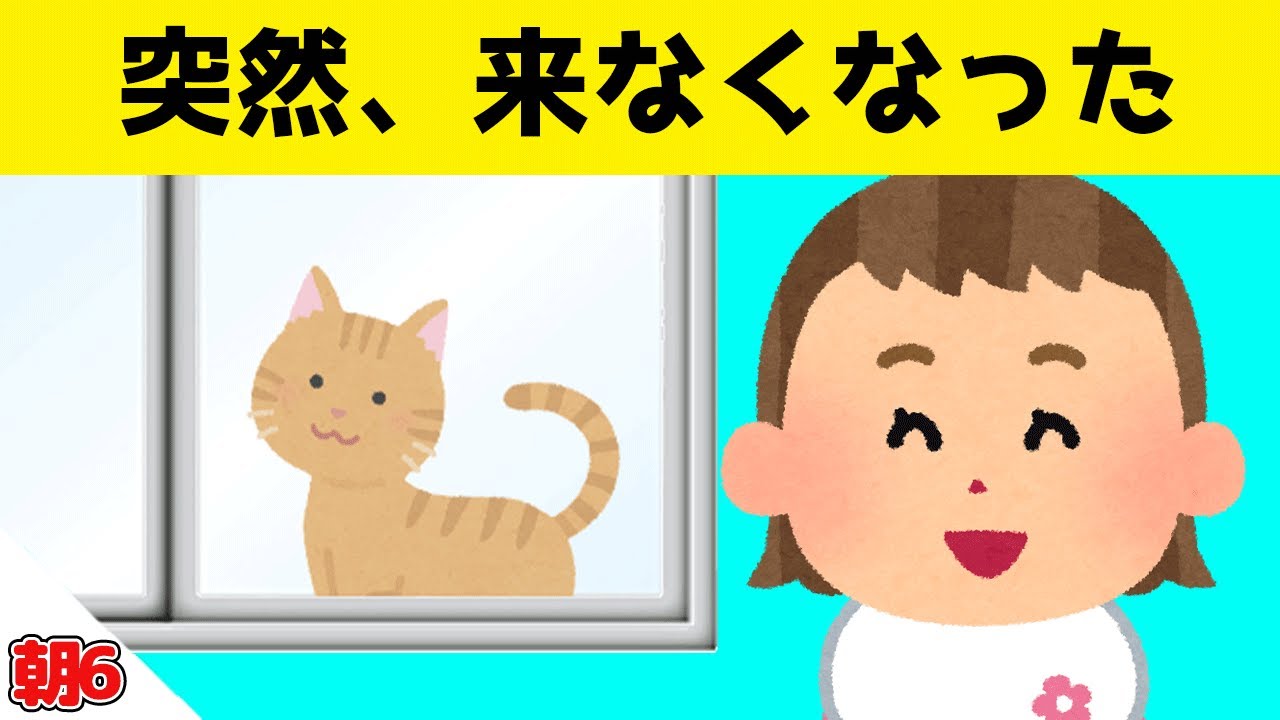 いつも娘に会いに来ていた野良猫が突然来なくなった結果ｗｗｗ