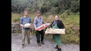 Ask the Farmer Q&A with Irish Seed Savers