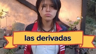 Proyecto Final – Derivadas – Bocanegra Enriquez Shanti Valentina  Guide