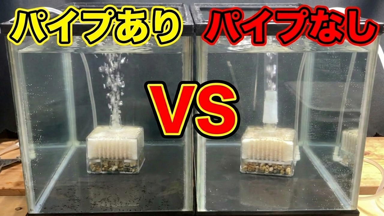 300円で買った“園芸用プランター”→水と植物を入れたら…… まん丸な金魚