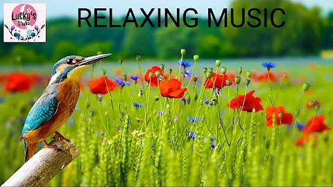 Relaxing Sleep Music Bird sounds , "Soothing Sounds of Nature"