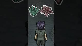 Alchemillia 1 Is OP - Fear & Hunger Termina