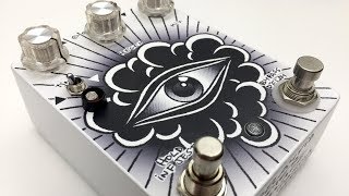 Bookworm Effects - DelayVid Foster Wallace (light sensor delay)