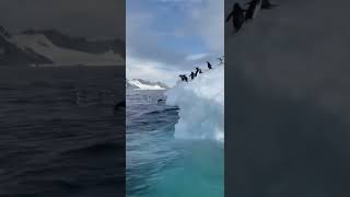 Video Call David Guetta Motorway Rock Chicken Takeaway