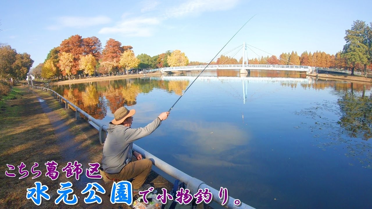 都内で大人気の釣りができる公園が楽しかったー！ こちら葛飾区 水元公園で小物釣り。