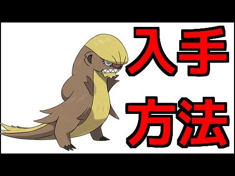 ポケモンウルトラサン ぬしポケモン デカグース獲得方法 ヌシール枚 ポケモンウルトラサンムーン Youtube