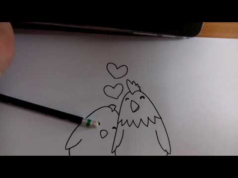 วาดรูปการ์ตูน คู่รัก พ่อไก่ แม่ไก่ โดย วาดการ์ตูนกันเถอะ