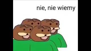 haha, bo wiecie