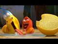 Larva  fruta cida  dibujos animados para nios  wildbrains for kids
