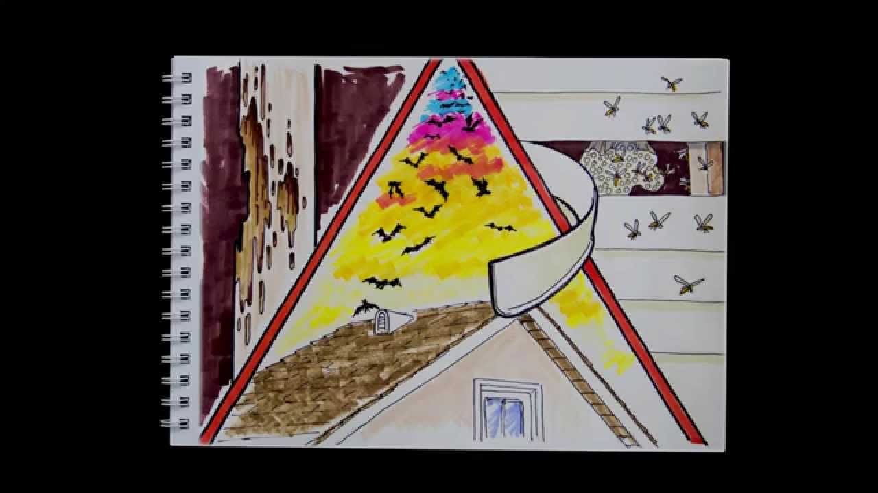 Opal Enterprises' 6 Steps to a Successful Home Exterior Remodeling Project