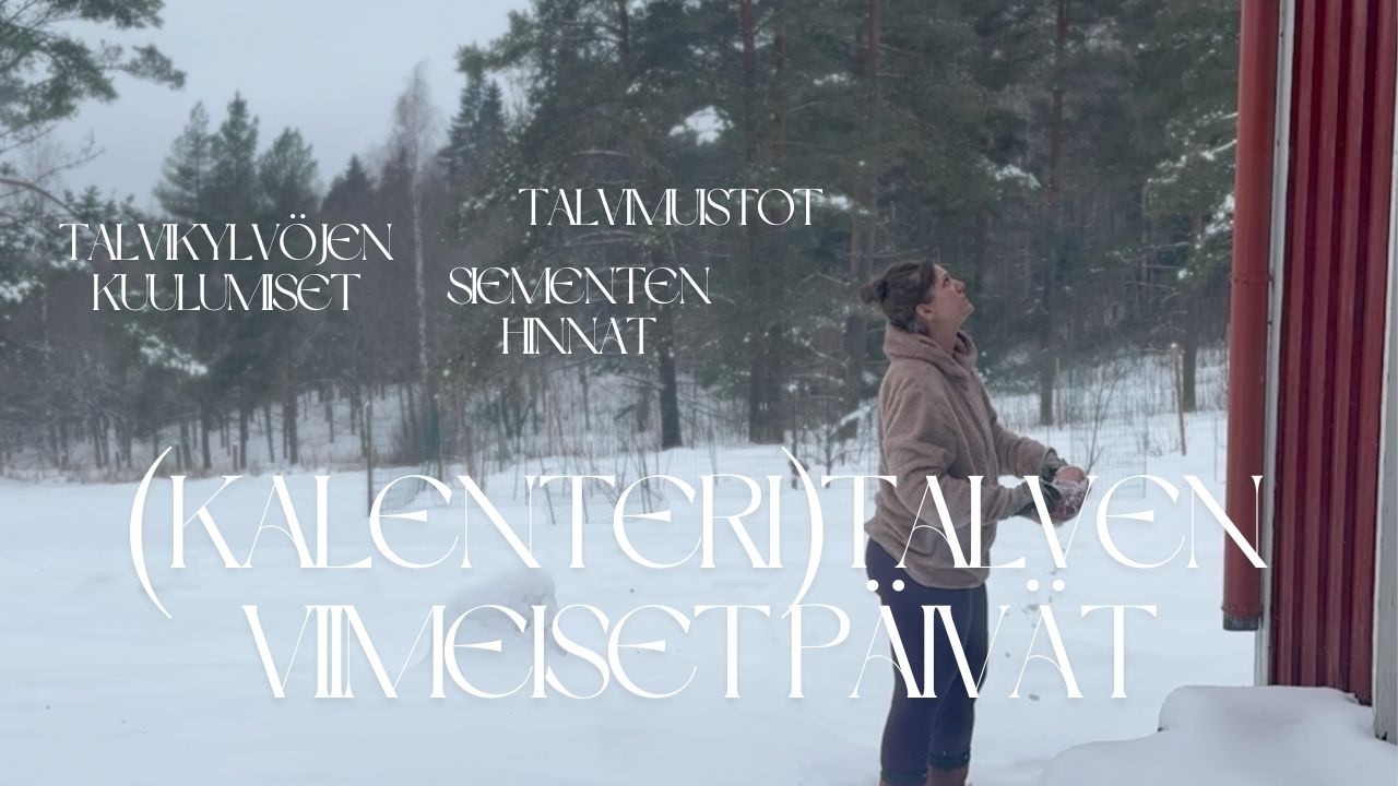 Talven viimeiset päivät - talvikylvöjen tilanne & siementen hinnat