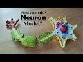 How to make neuron 3d model using thermocol