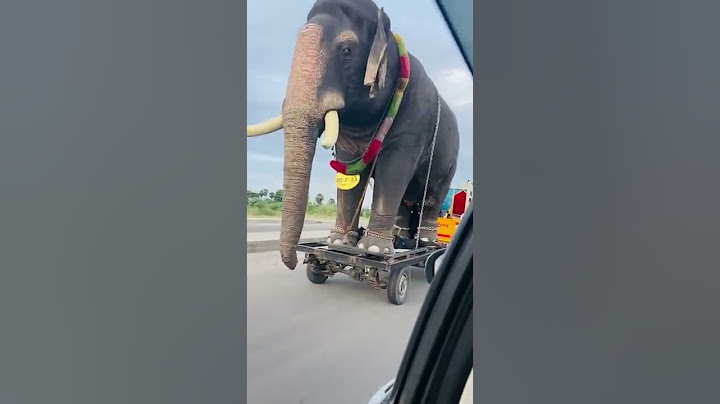 Oru second la emandhuten🙄 unmaiyana elephant nu! #viralshorts
