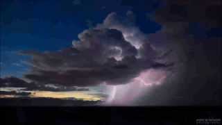 trick daddy - represent - Lyrics Wealth